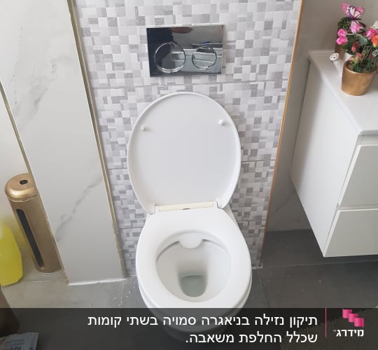 אסלה עם לחצני הדחה על קיר אריחים